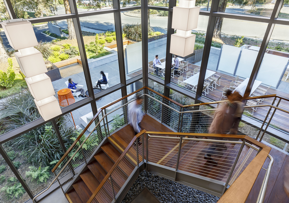 stairway inn a glass-walled office building